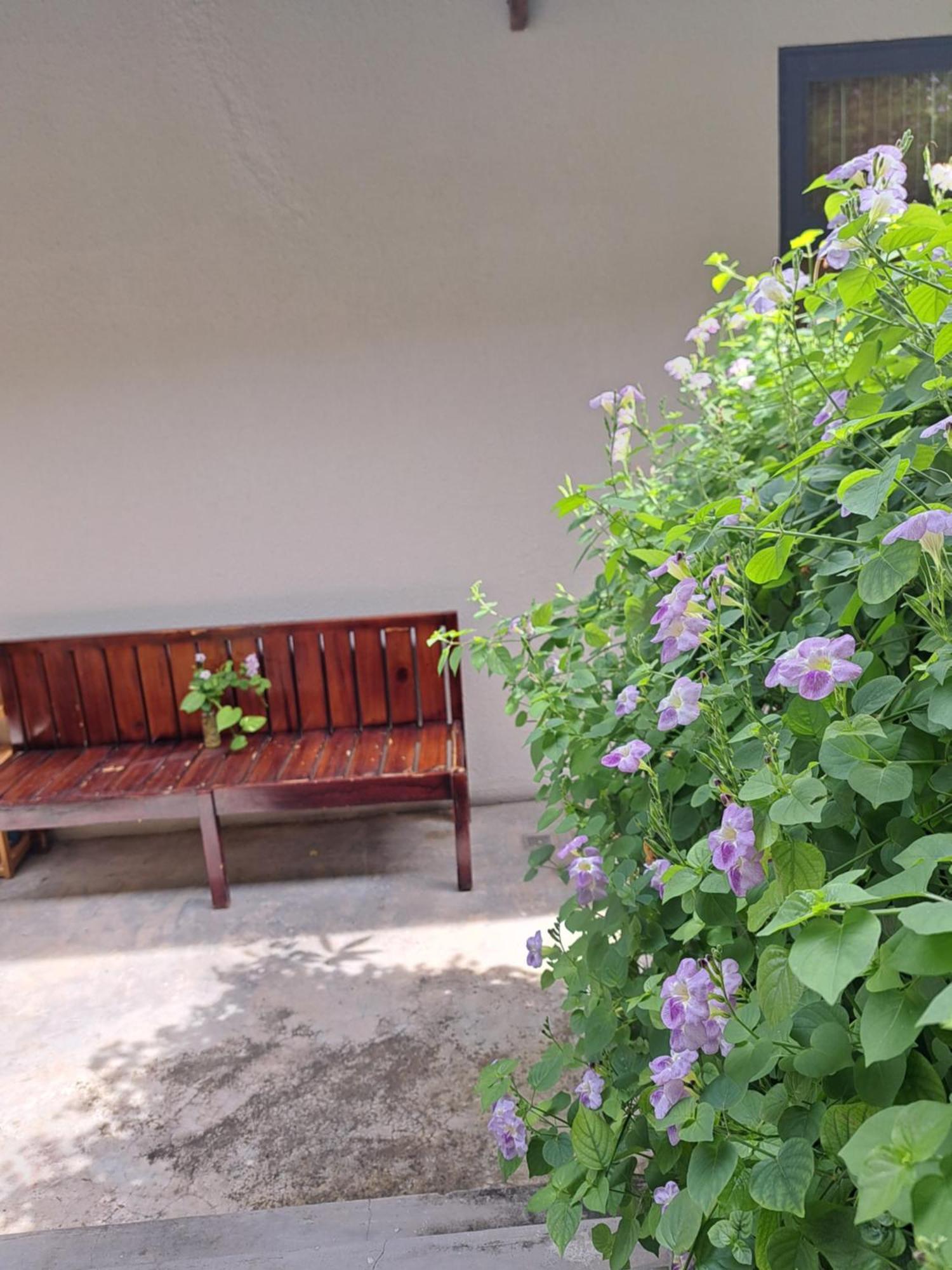 Golden Lotus Spa & Homestay Ap Thien Phuoc 外观 照片