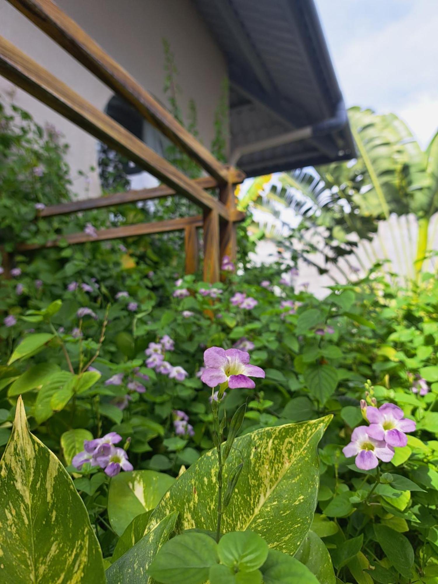 Golden Lotus Spa & Homestay Ap Thien Phuoc 外观 照片